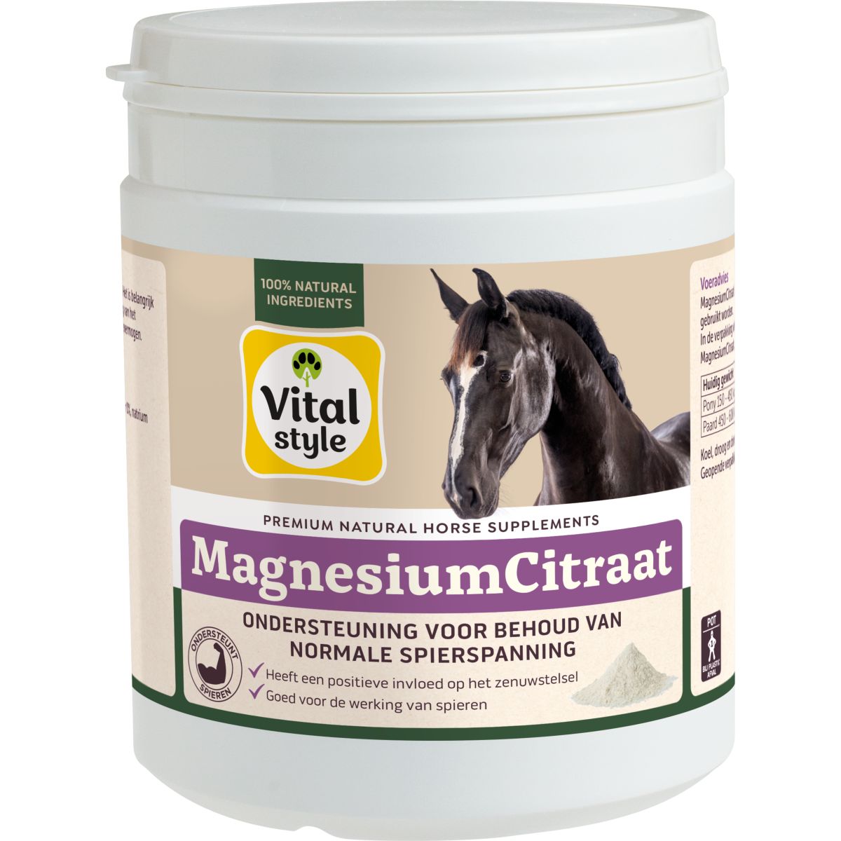 Vitalstyle Citrato de Magnesio