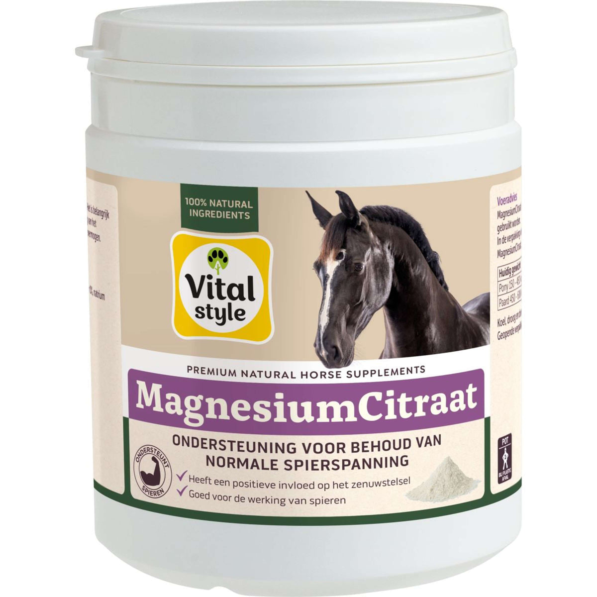 Vitalstyle Citrato de Magnesio