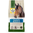 Vitalstyle DailyFit Balancer