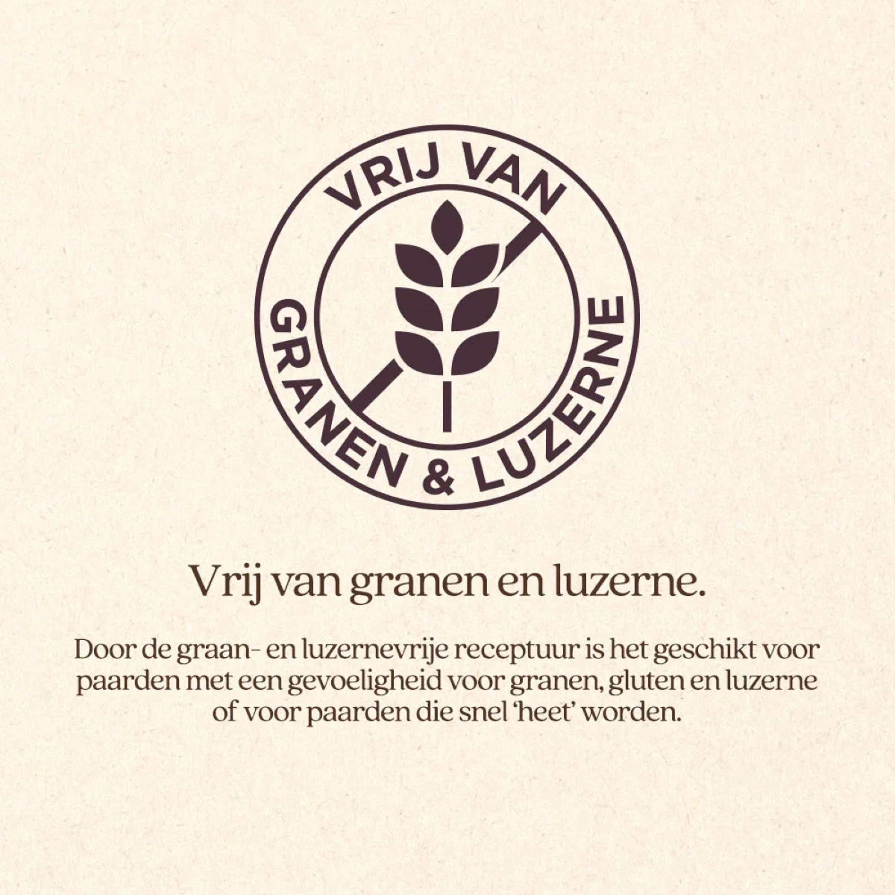 Vitalstyle Cubos OerBalans Cubo