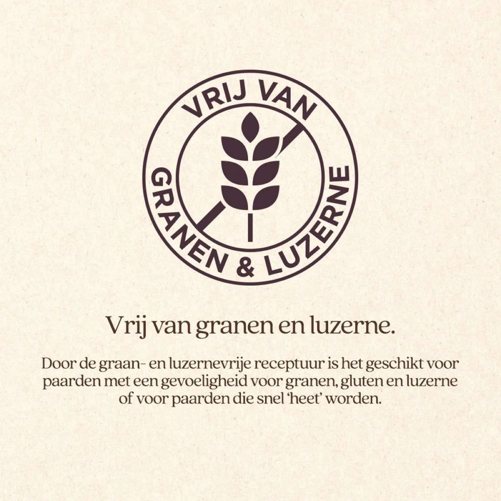 Vitalstyle Cubos OerBalans Cubo