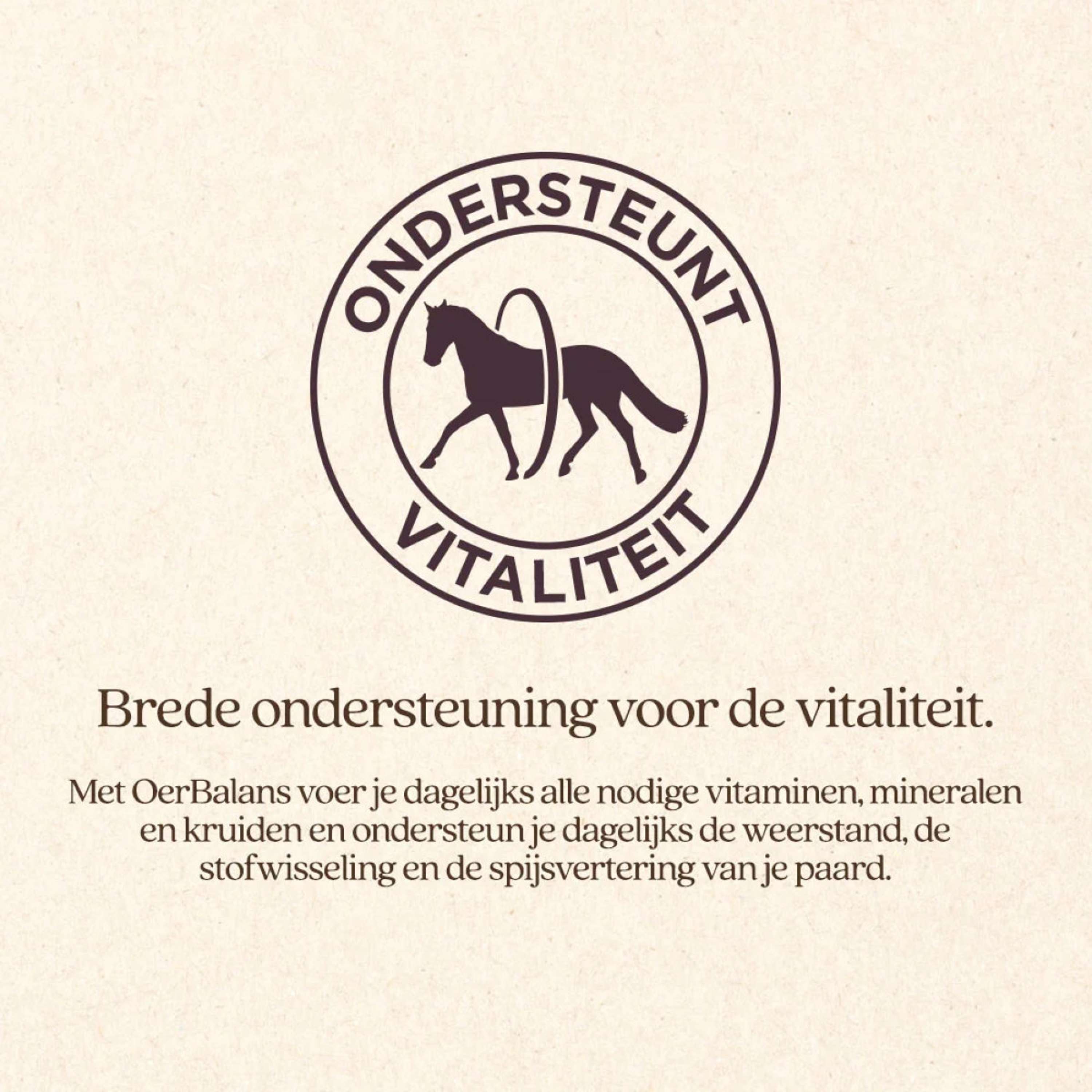 Vitalstyle Cubos OerBalans Cubo