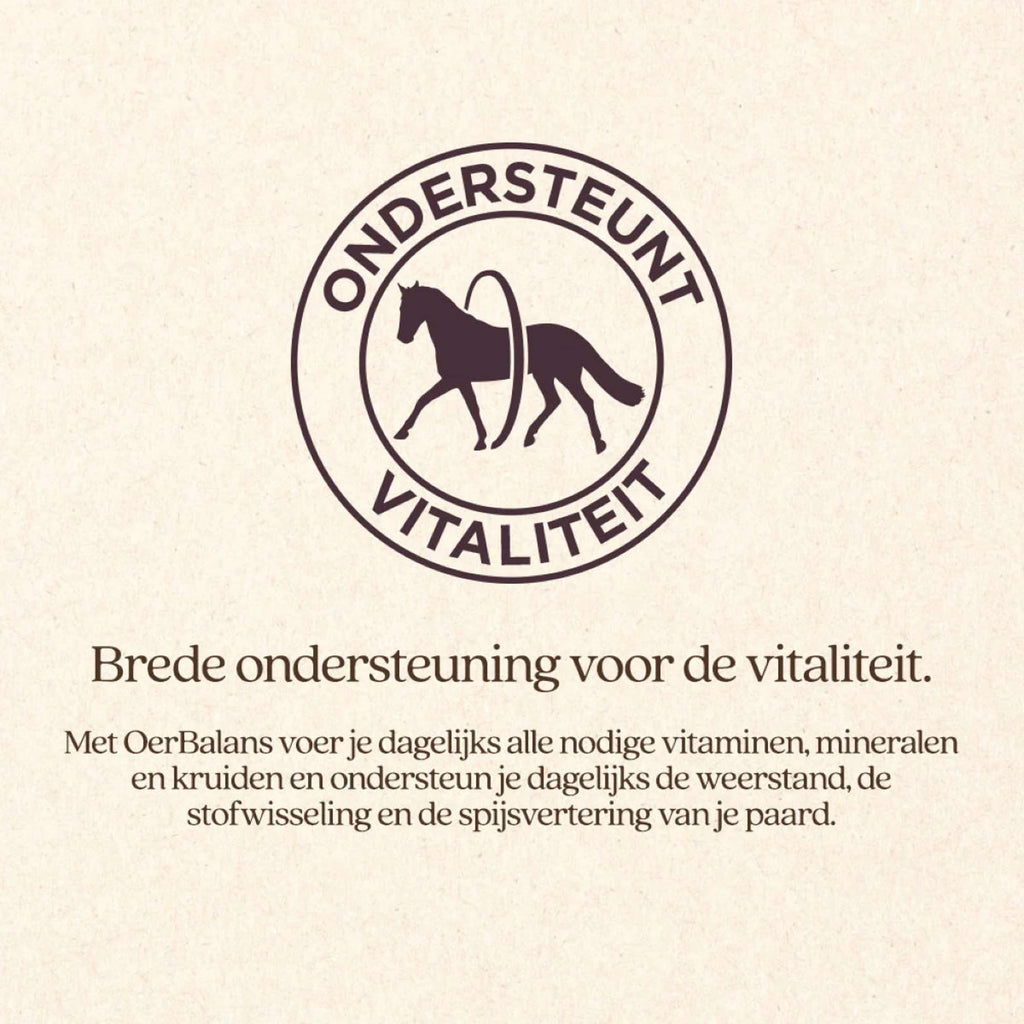 Vitalstyle Cubos OerBalans Cubo