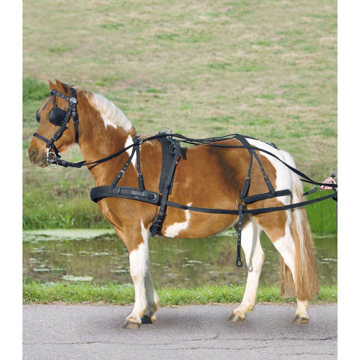 Waldhausen Arnés Nylon Negro