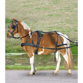 Waldhausen Arnés Nylon Negro