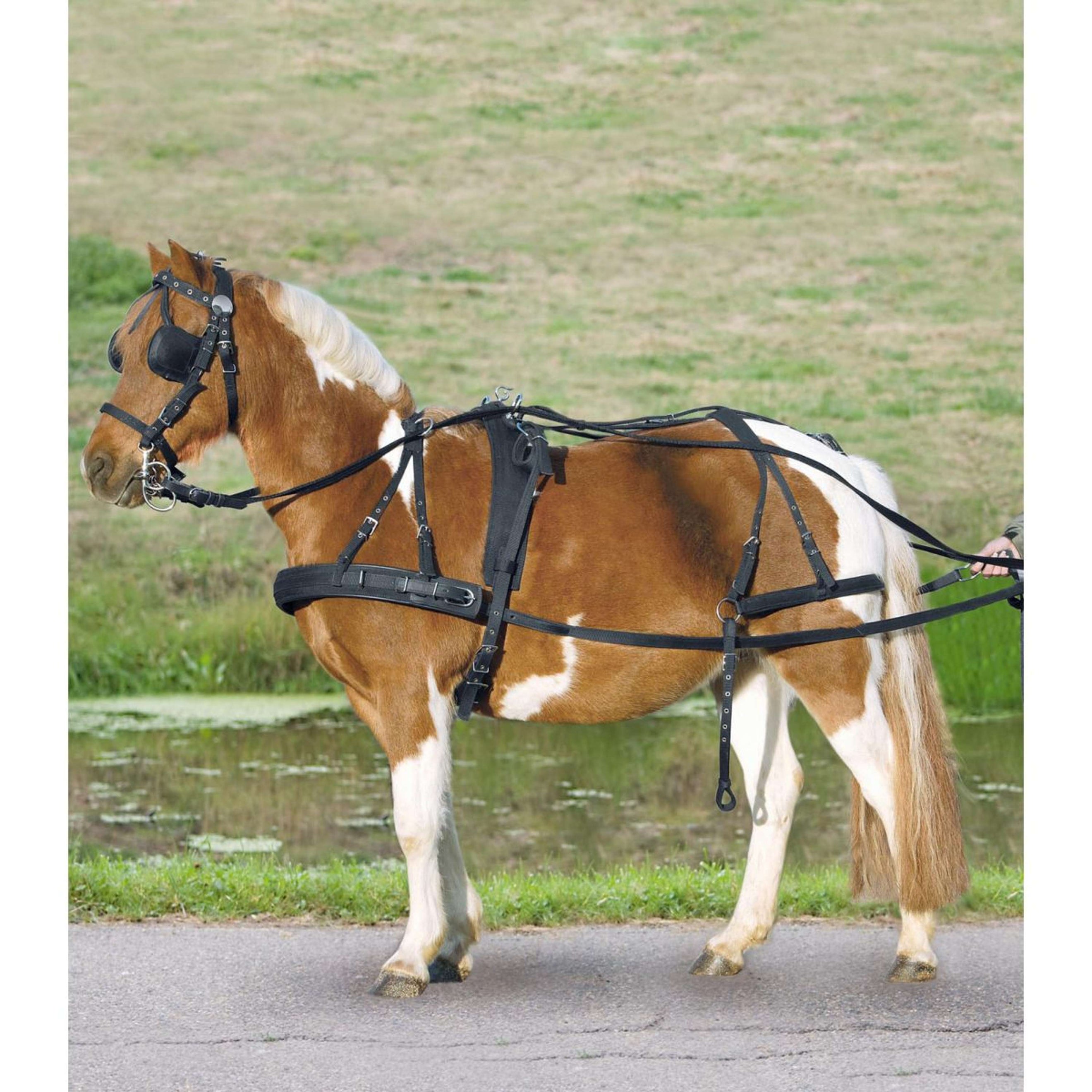 Waldhausen Arnés Nylon Negro