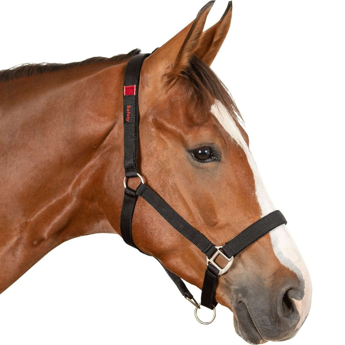 Waldhausen Cabestro de Seguridad Negro