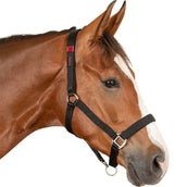 Waldhausen Cabestro de Seguridad Negro