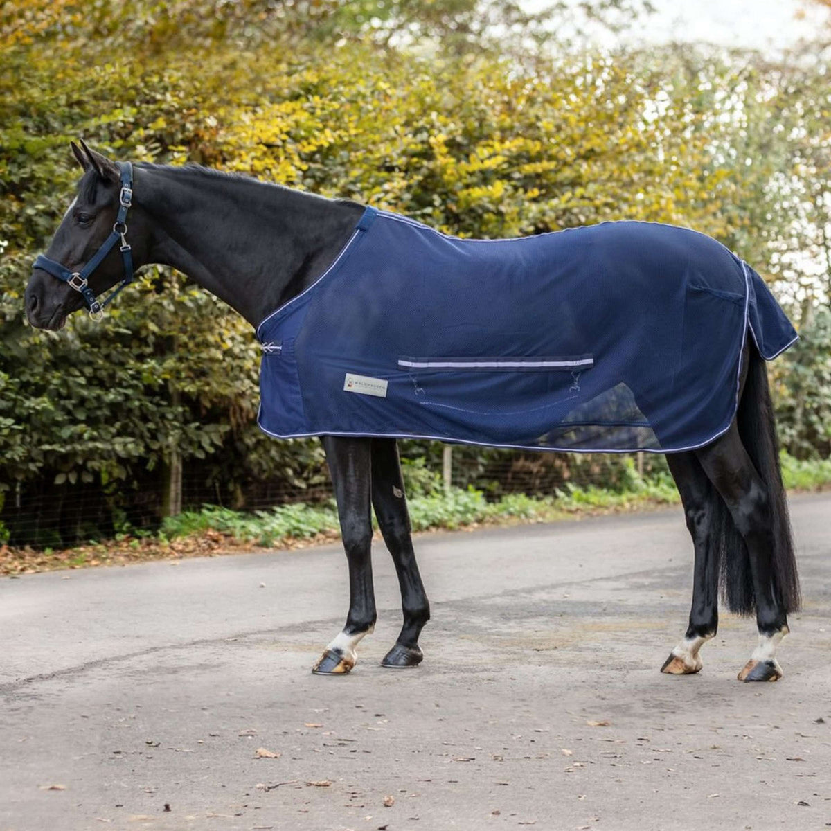 Waldhausen Manta Antimoscas Comfort con protector de clavos Nightblue