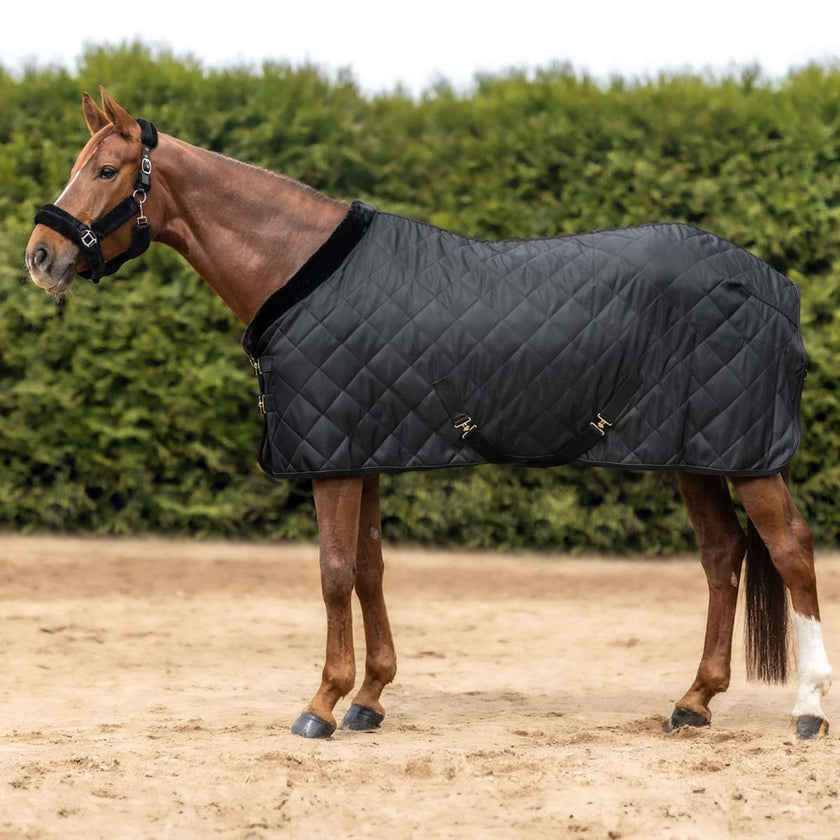 Waldhausen Manta de Transporte Exclusive Negro