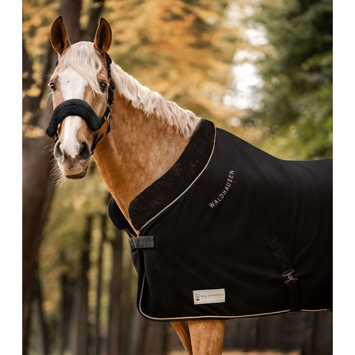 Waldhausen Manta de Forro Polar Modern Negro/Oro Rosa
