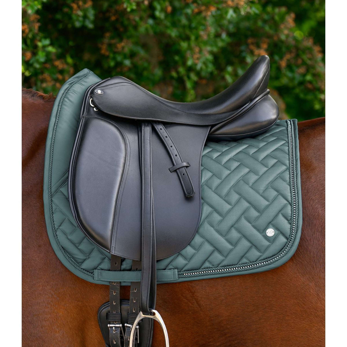 Waldhausen Mantilla Turin Doma clásica Pine Green