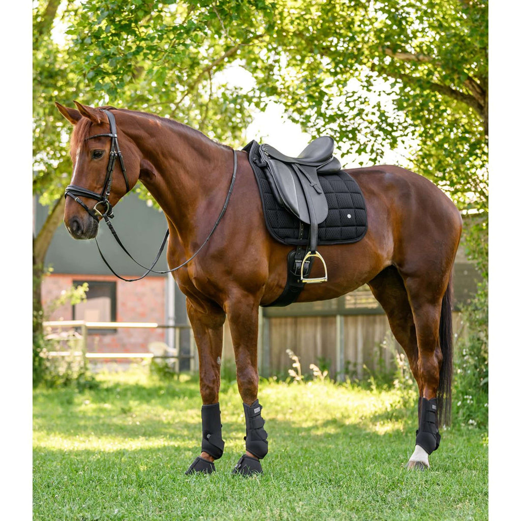 Waldhausen Mantilla Breath Performance Doma clásica Negro