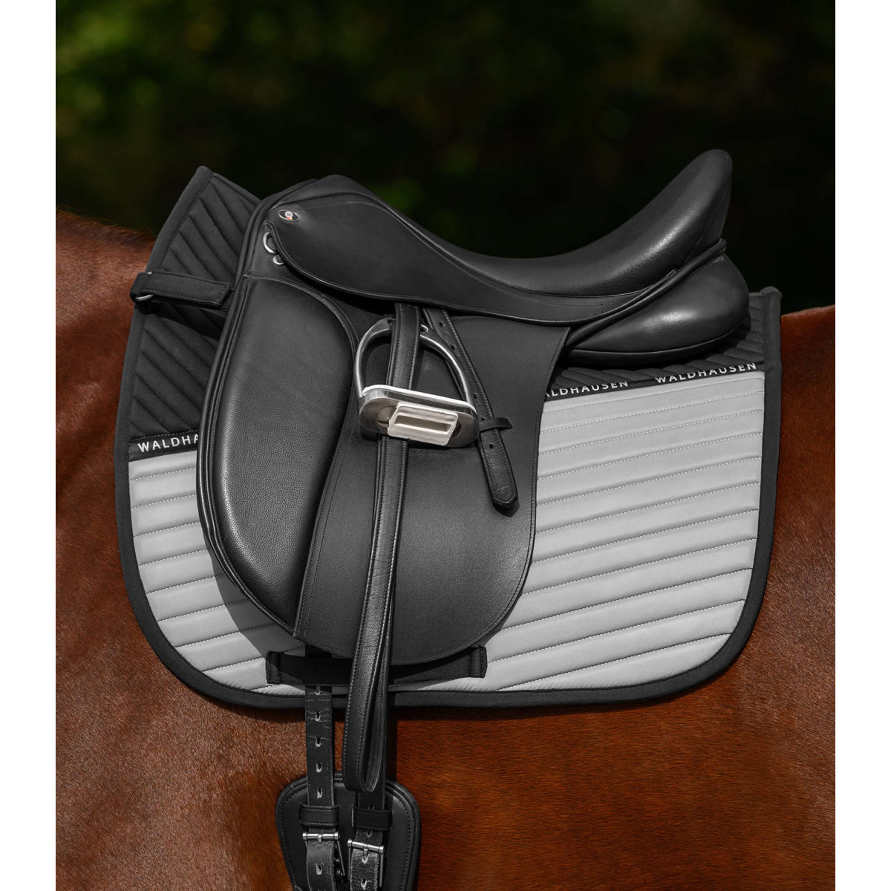 Waldhausen Mantilla Reflex Doma Clásica Gris Plata