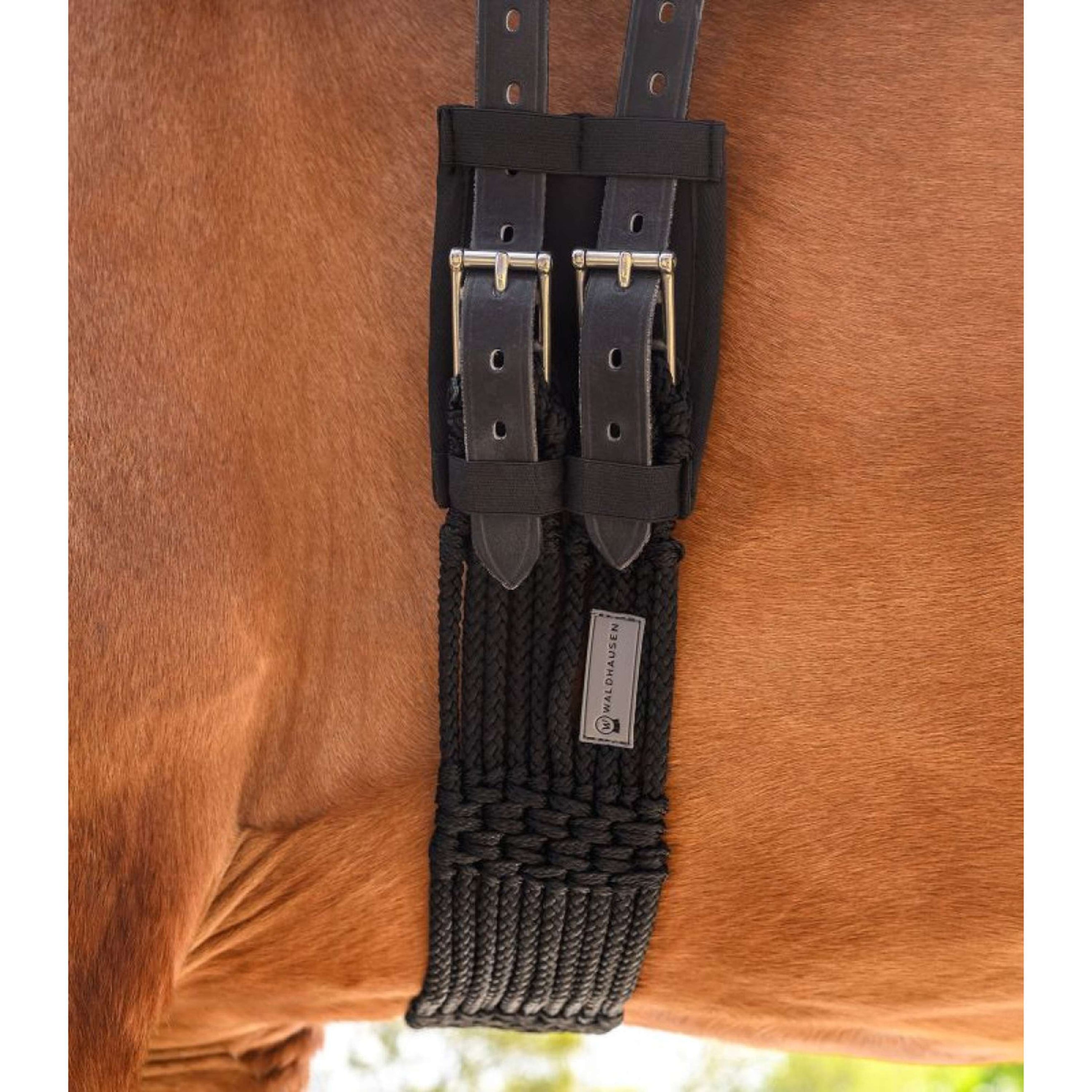 Waldhausen Cincha String Negro Waldhausen Cincha String Negro