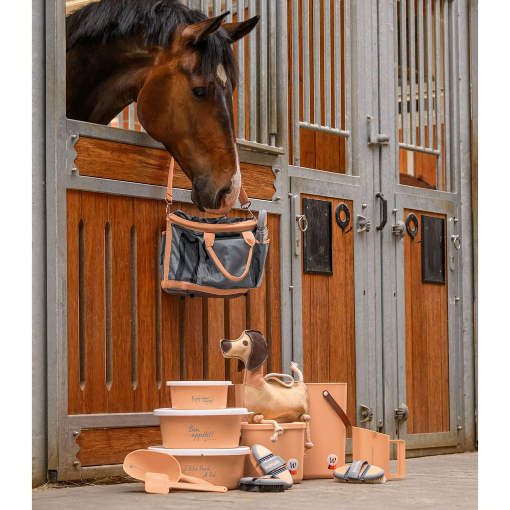 Waldhausen Cepillo Suave Flex Pelo de Caballo Peach/Chrome Grey