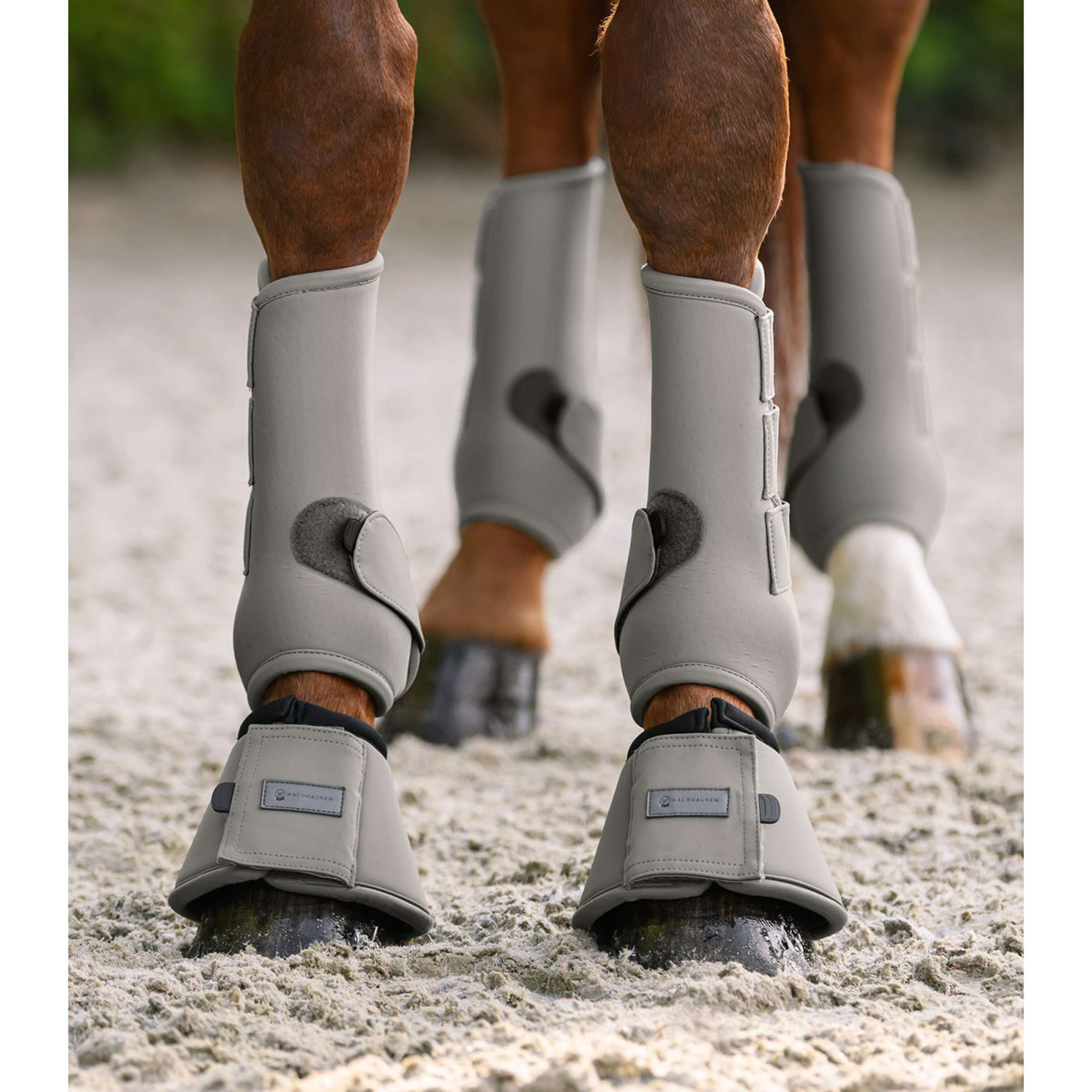 Waldhausen Flextrainers Air Performance Sage