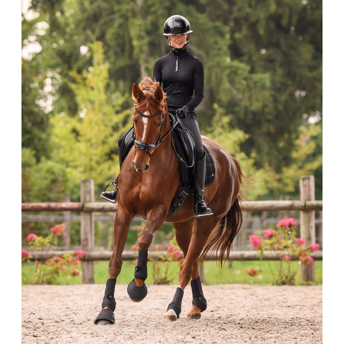 Waldhausen Botas para Caballos Performance Negro