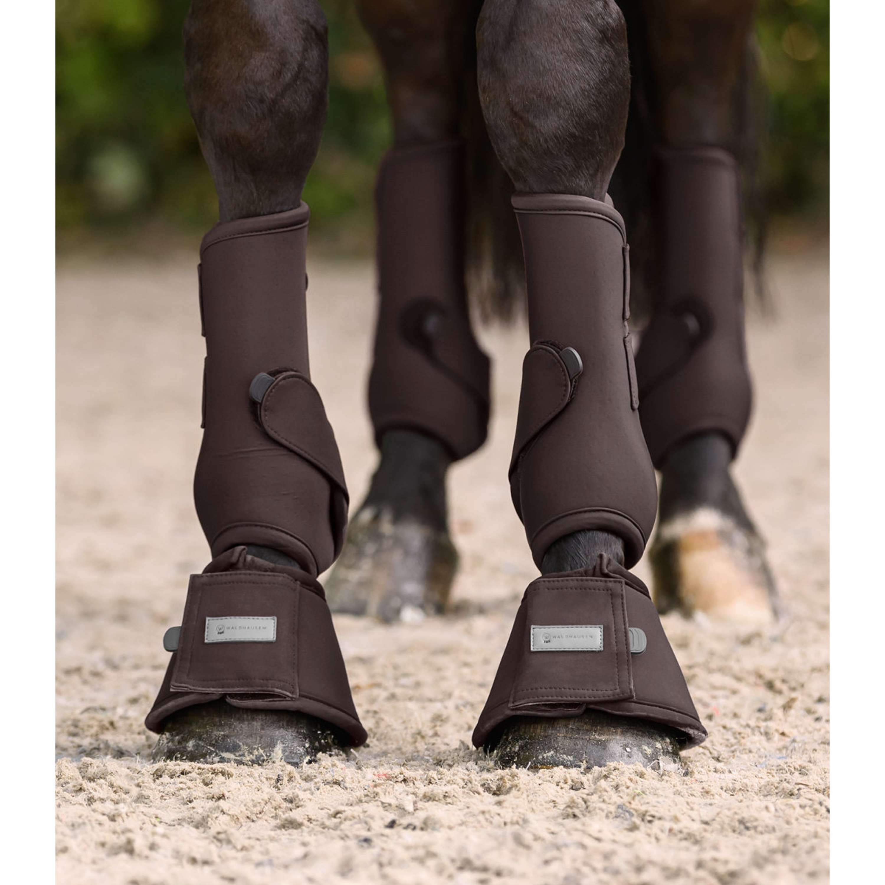Waldhausen Botas para Caballos Performance Espresso