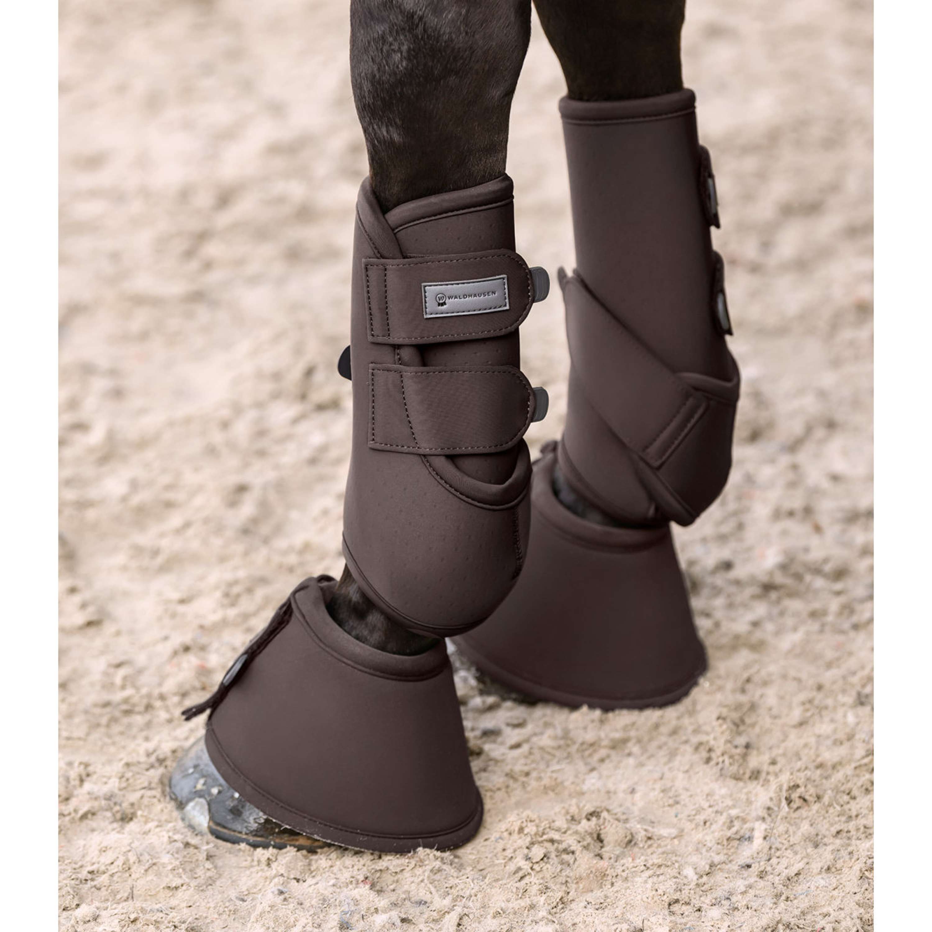 Waldhausen Botas para Caballos Performance Espresso