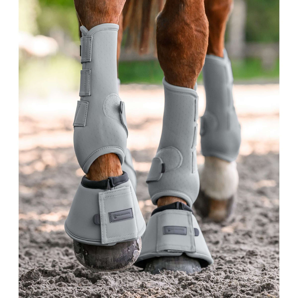 Waldhausen Botas para Caballos Performance Chrome Grey