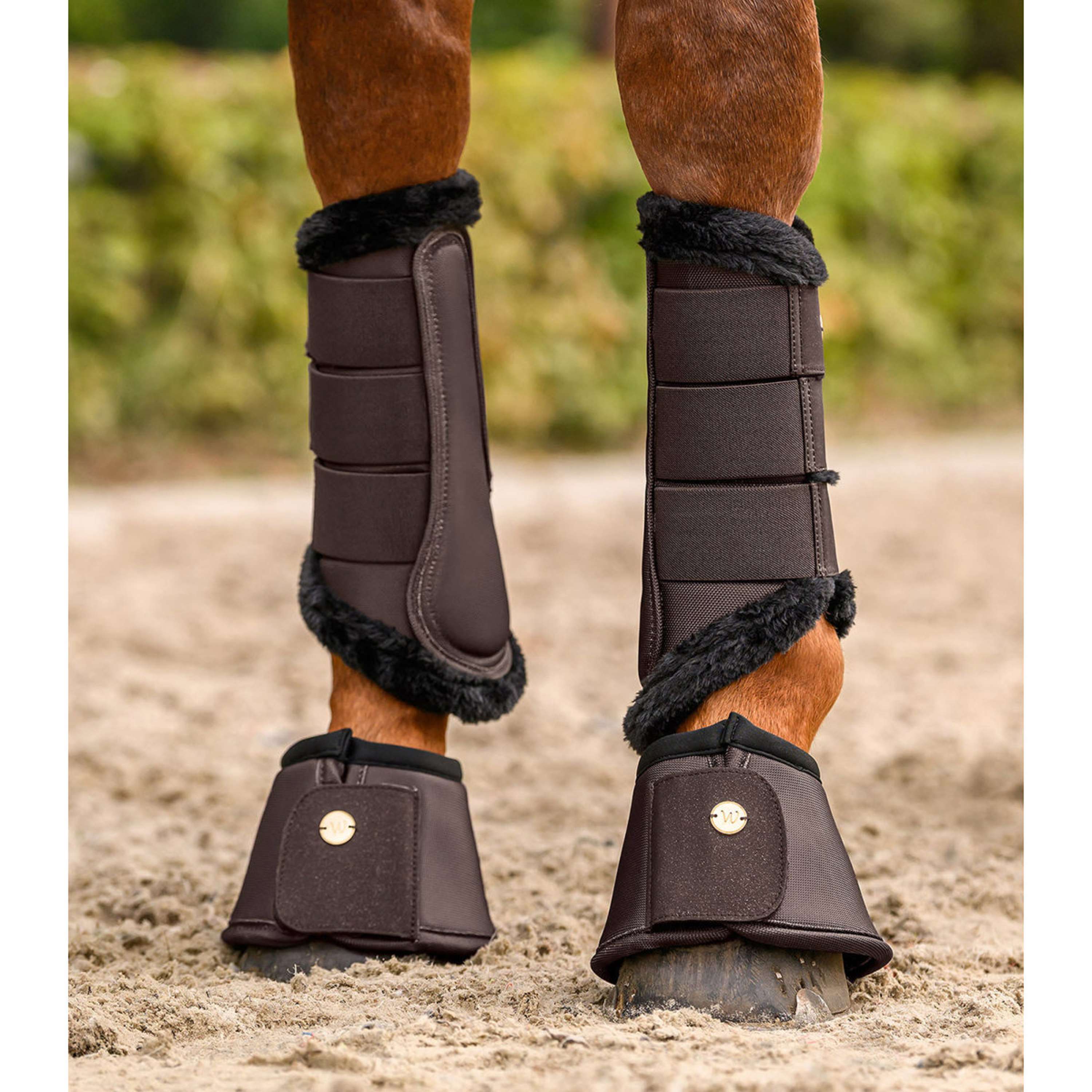 Waldhausen Botas para Caballos Phoenix Espresso
