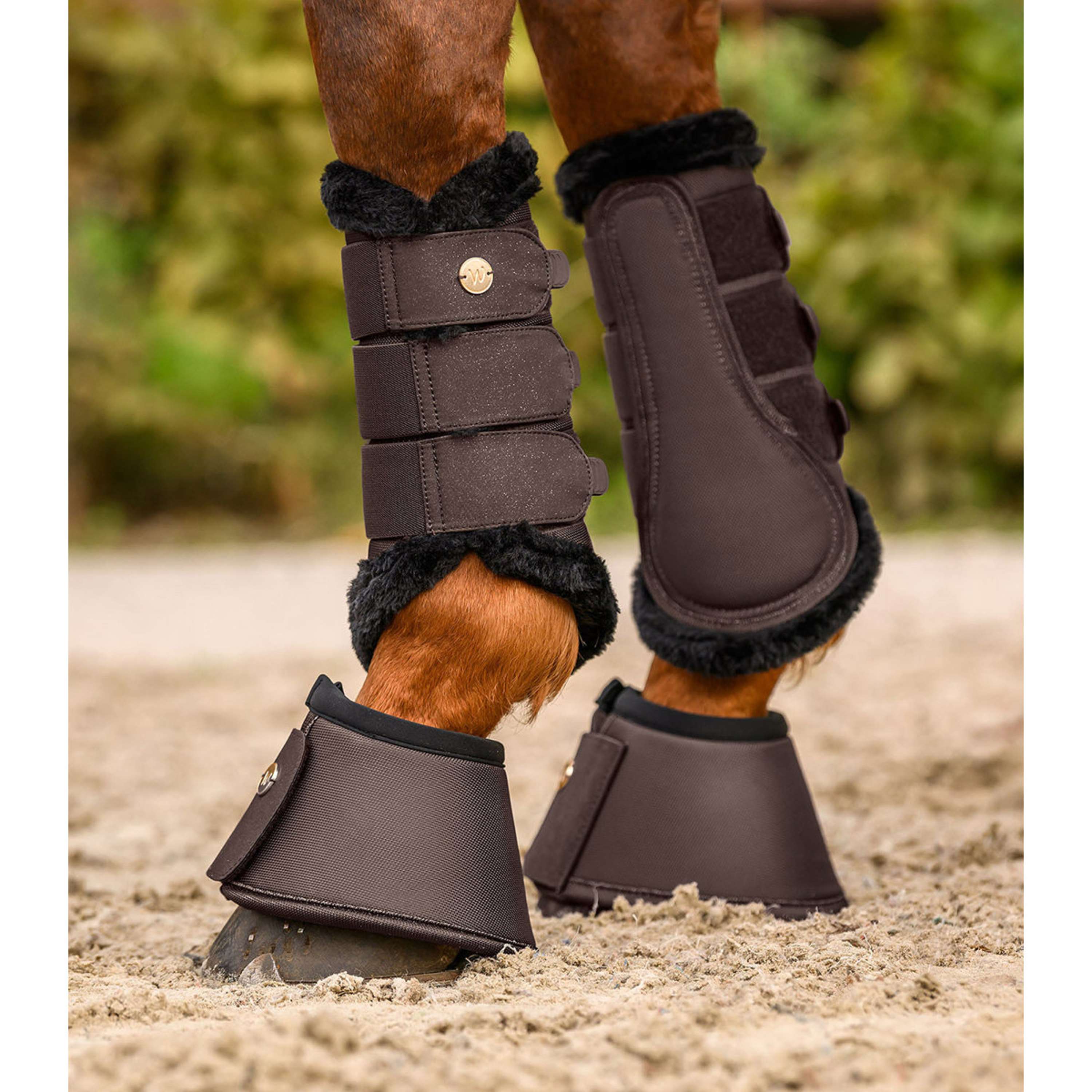 Waldhausen Botas para Caballos Phoenix Espresso
