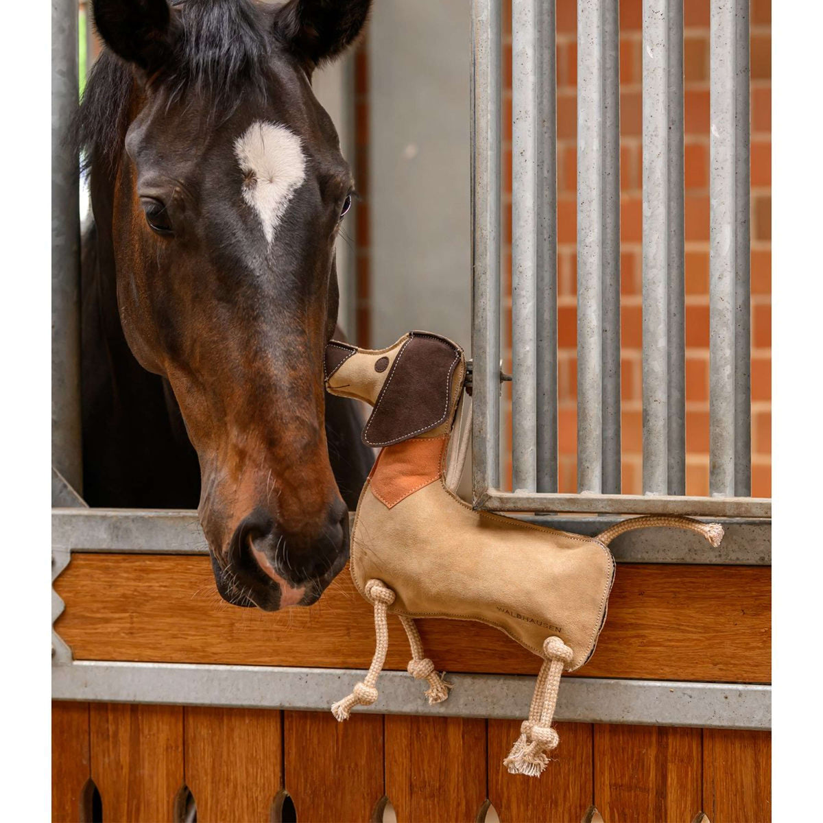 Waldhausen Juguetes Dachshund Dieter
