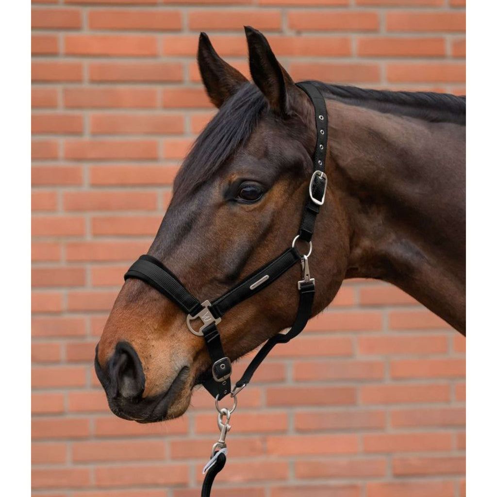Waldhausen Juego de Cabestro Velvet Negro