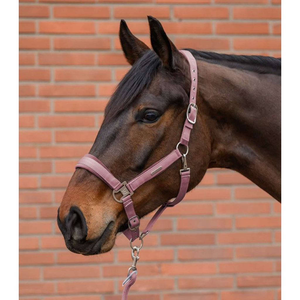 Waldhausen Juego de Cabestro Velvet Dusky Pink