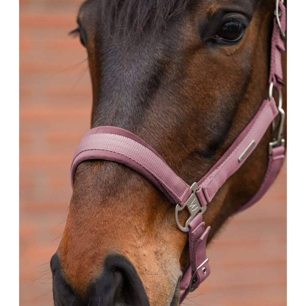 Waldhausen Juego de Cabestro Velvet Dusky Pink