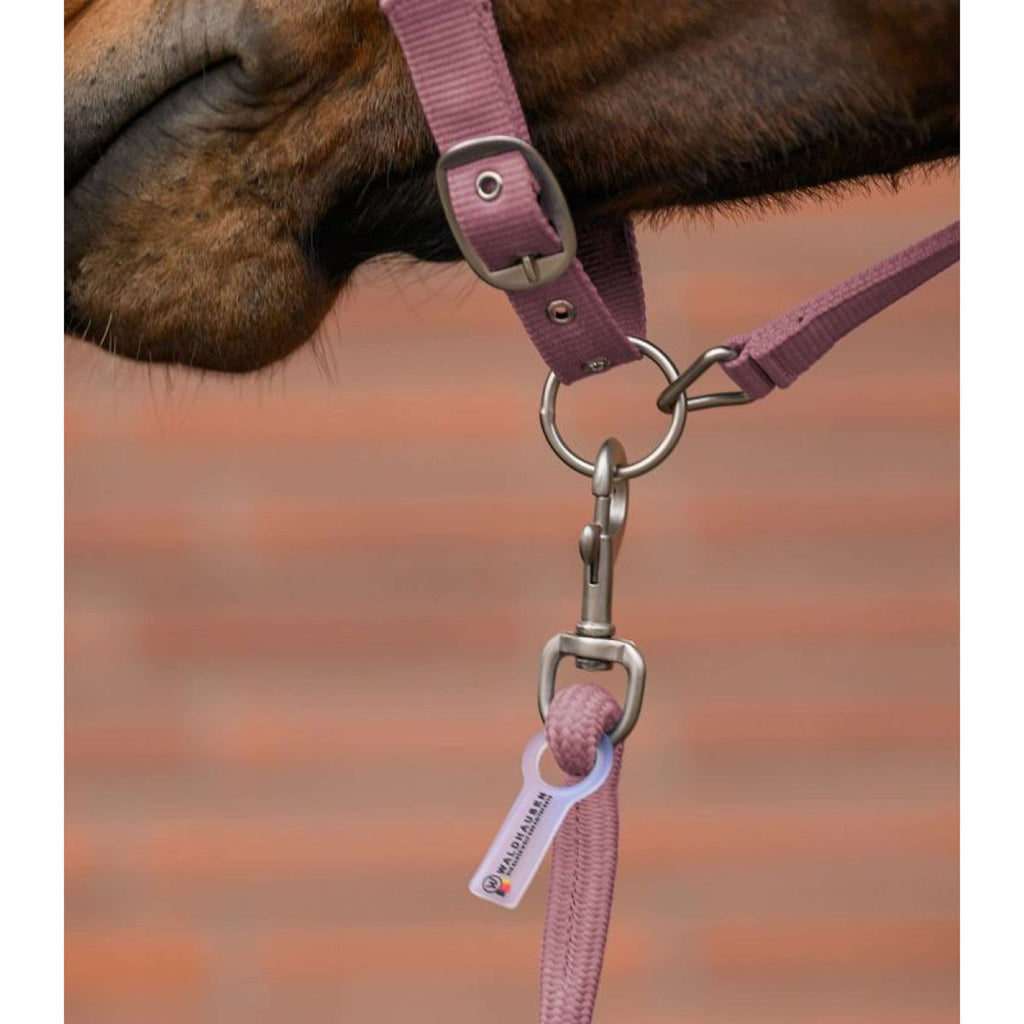 Waldhausen Juego de Cabestro Velvet Dusky Pink