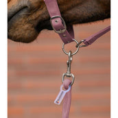 Waldhausen Juego de Cabestro Velvet Dusky Pink