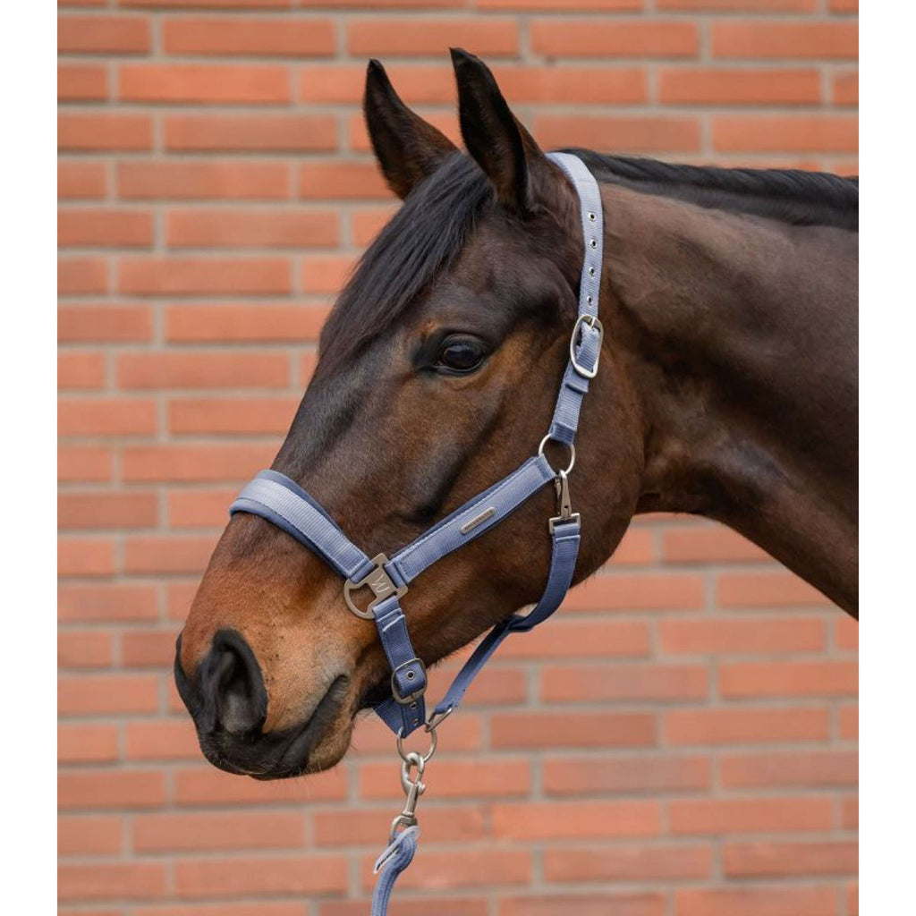 Waldhausen Juego de Cabestro Velvet Azul Oceano
