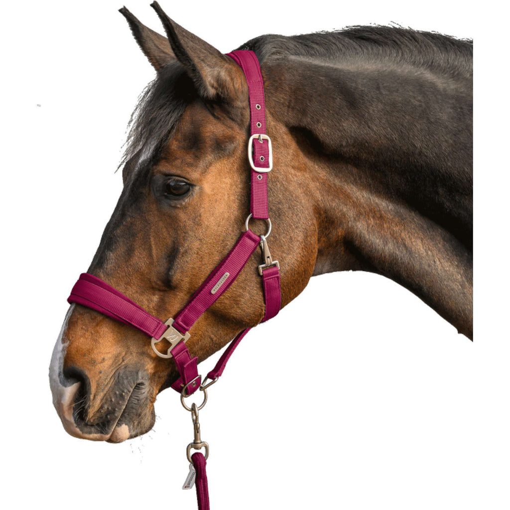 Waldhausen Juego de Cabestro Velvet Pomegranate
