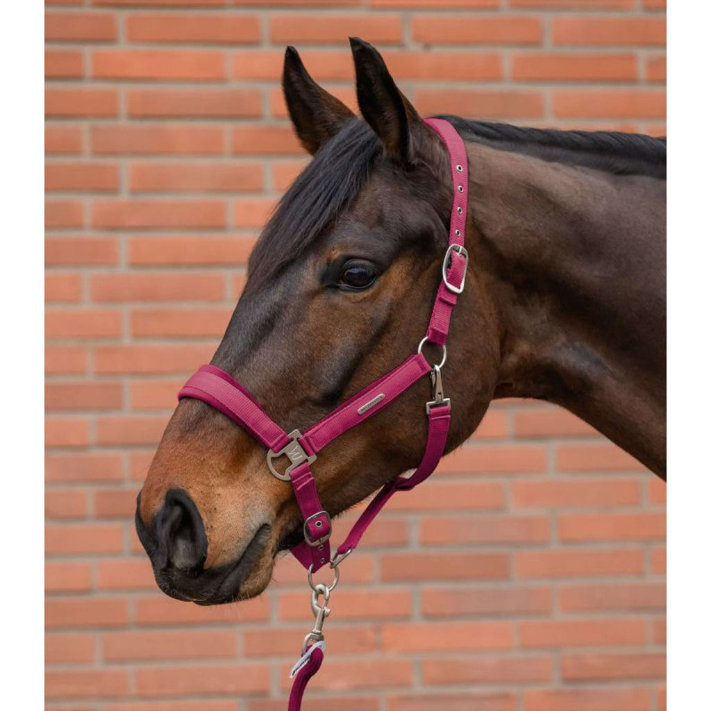 Waldhausen Juego de Cabestro Velvet Pomegranate