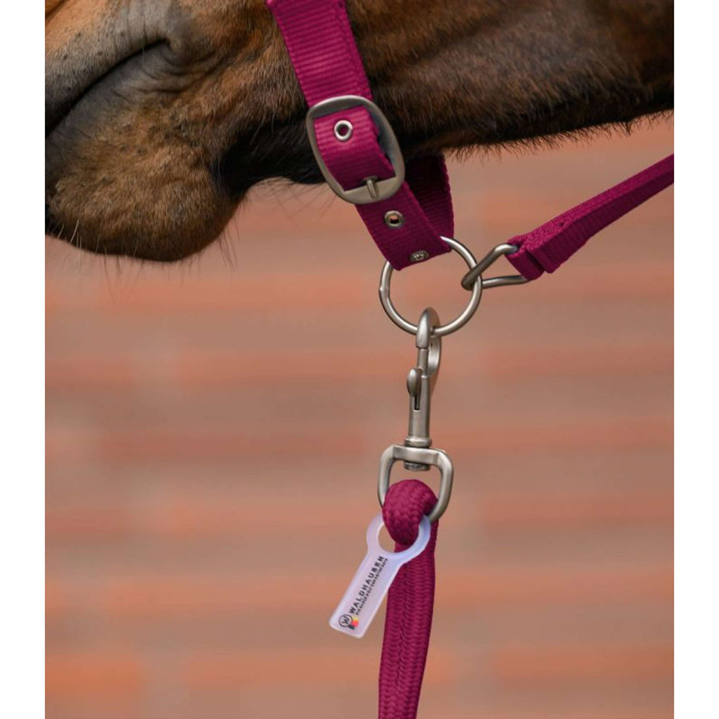 Waldhausen Juego de Cabestro Velvet Pomegranate
