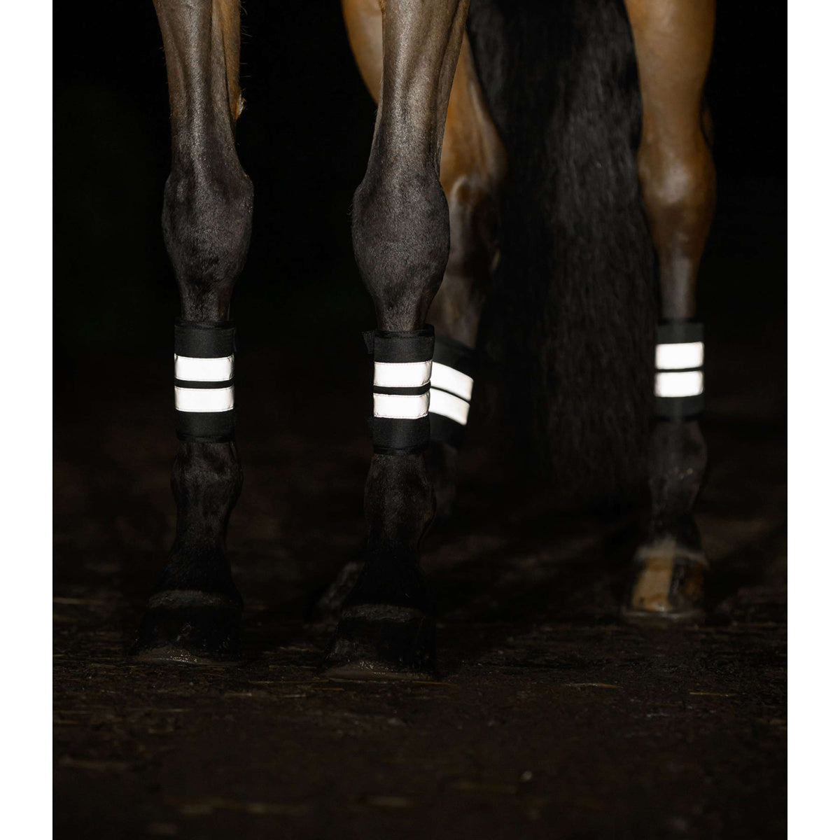 Waldhausen Banda Reflectante Reflex 4 Piezas Plata