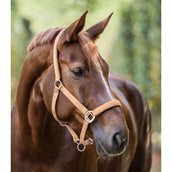 Waldhausen Cabezada Satin Melocoton