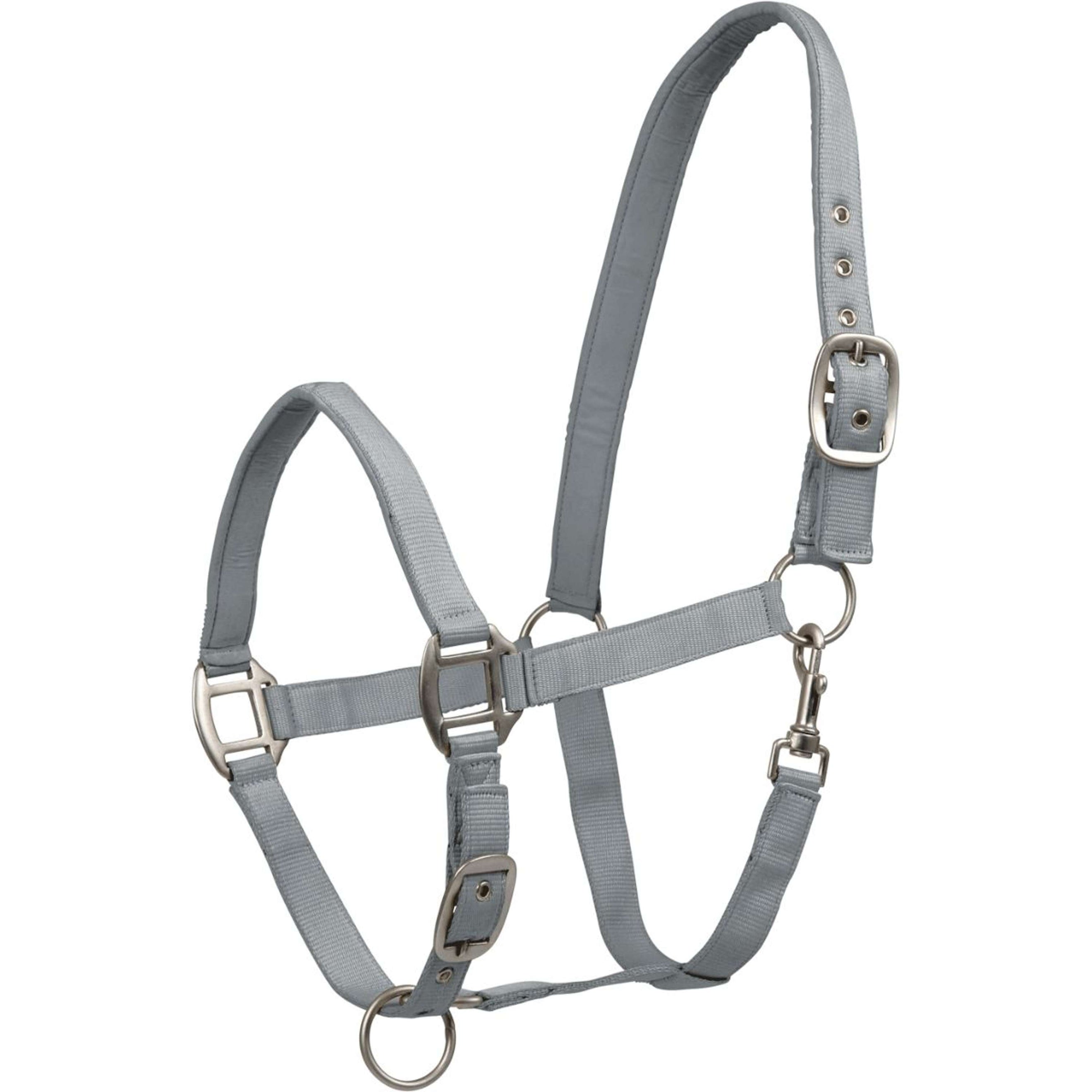 Waldhausen Cabestro Satin Chrome Grey Waldhausen Cabestro Satin Chrome Grey