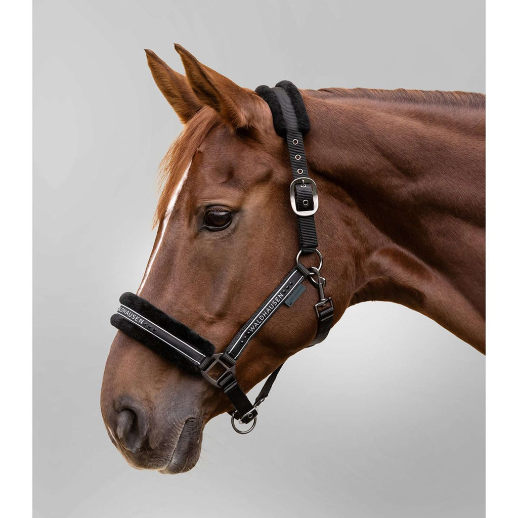 Waldhausen Cabestro Elegant Negro/Negro