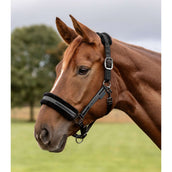 Waldhausen Cabezada Elegant Negro/Negro