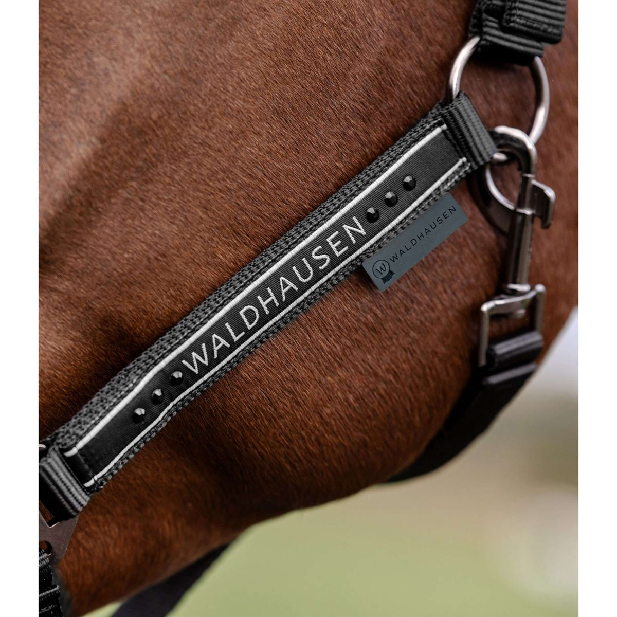 Waldhausen Cabezada Elegant Negro/Negro