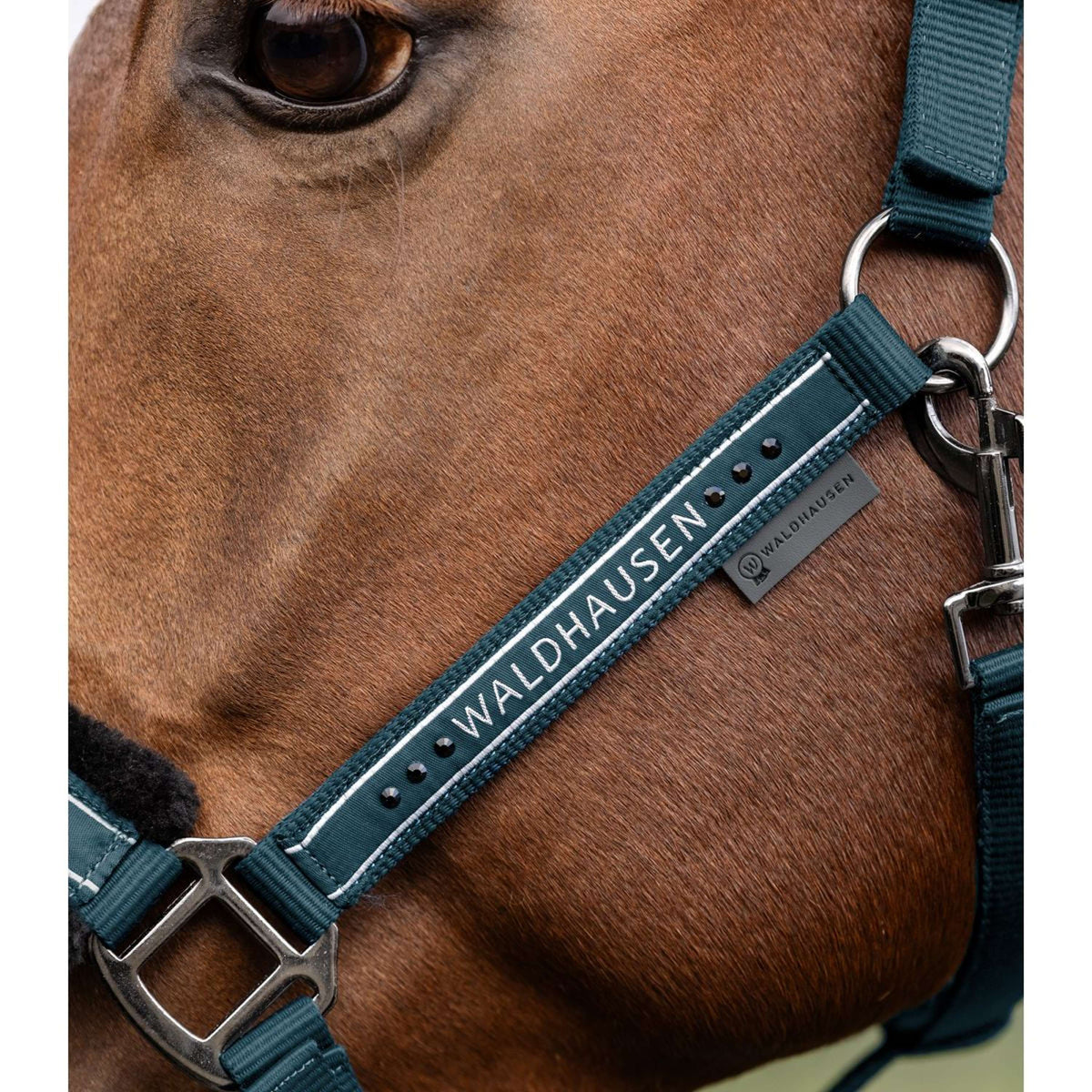 Waldhausen Cabezada Elegant Petrol Blue