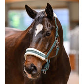 Waldhausen Cabezada Elegant Pine Green