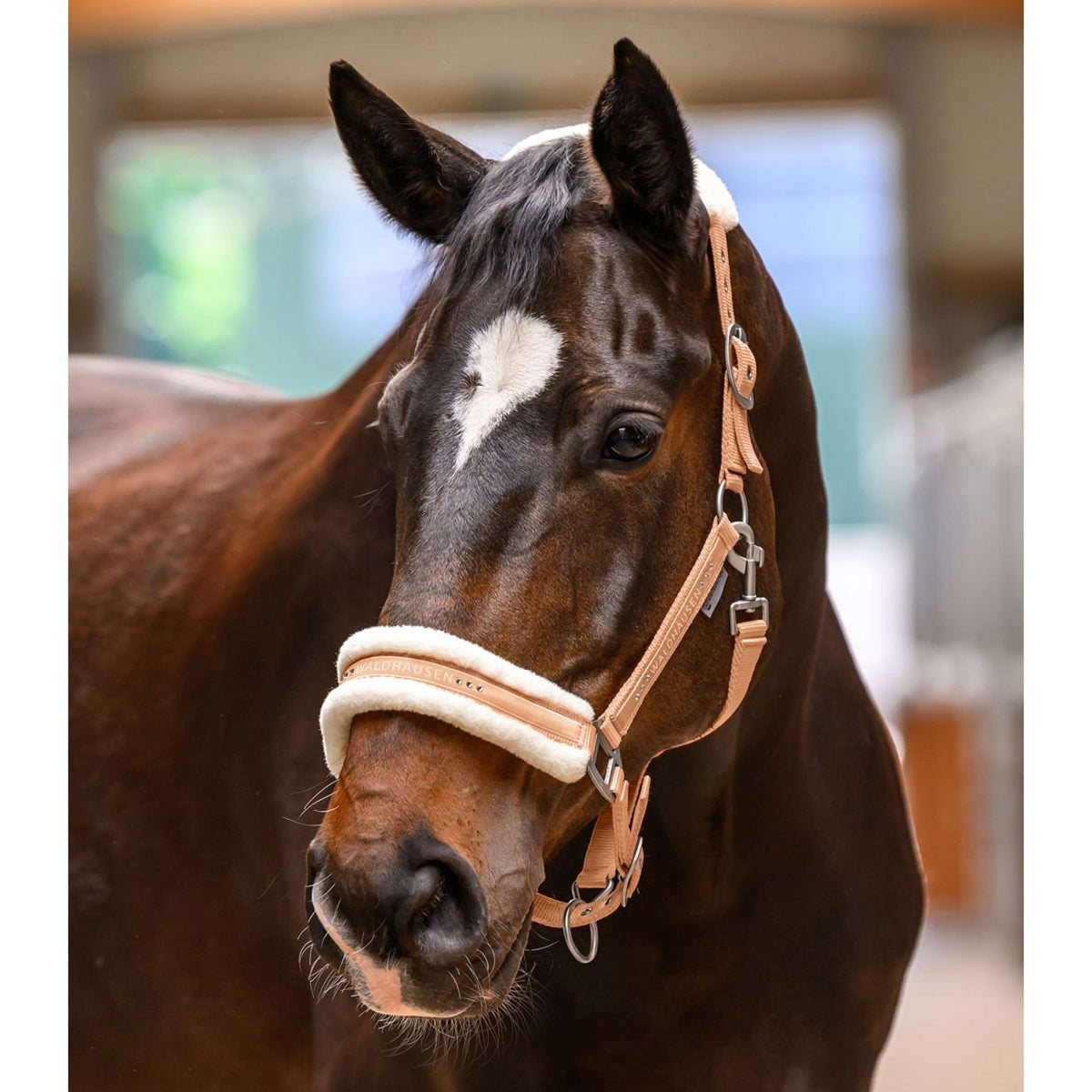 Waldhausen Cabezada Elegant Melocoton