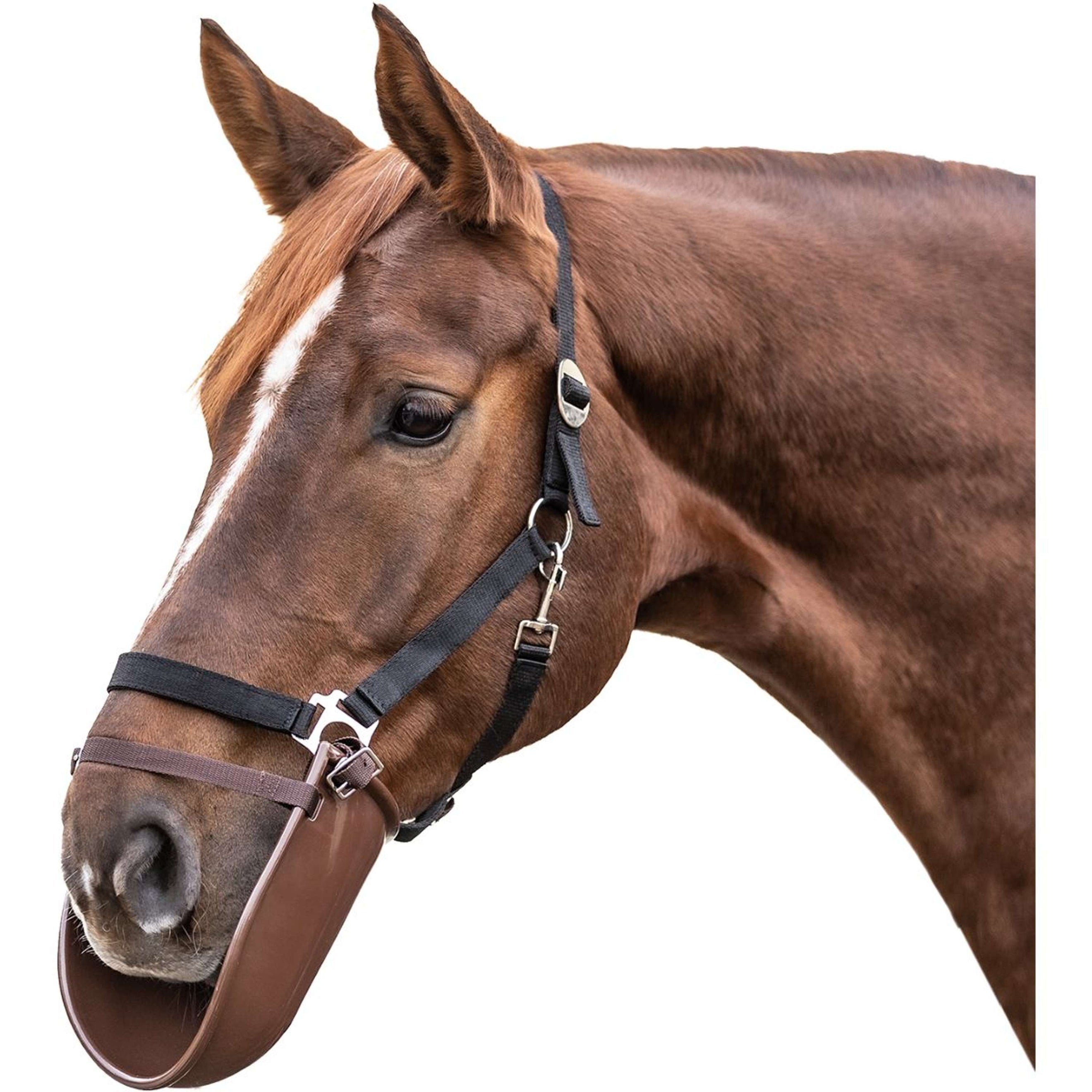 Waldhausen Protector Contra Mordeduras Español (ES): Plástico Beige Waldhausen Protector Contra Mordeduras Español (ES): Plástico Beige