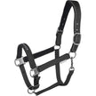 Waldhausen Cabestro Athletic Negro