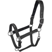 Waldhausen Cabestro Athletic Negro