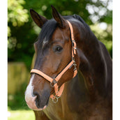 Waldhausen Cabezada Athletic Melocoton